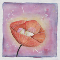 LEAD Technologies Inc. V1.01